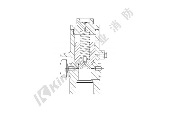 NOVEC1230-Container Valve