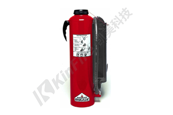 Pressurized dry powder fire extinguisher